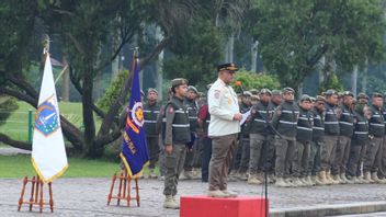 تنظيم عناصر الأحزاب السياسية في الجسور الجوية، Satpol PP DKI: انتهاك القانون المحلي وتهديد السائقين 