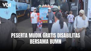 Kebahagiaan Peserta Disabilitas Ikut Mudik Gratis BUMN 2026