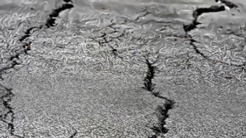 BMKG Cabut Himbauan Peringatan Dini Tsunami yang Dikeluarkan Pasca Gempa Magnitudo 7,4 di Larantuka