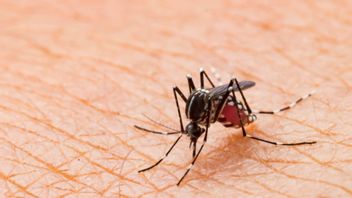 نتائج البحوث الأخيرة، تكنولوجيا ميرنا هي أيضا فعالة لعلاج الملاريا