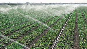 Teknologi Irigasi Pintar dan Sensor Kelembapan untuk Pertanian di Daerah Kering