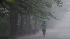 11月14日(木)天気:インドネシアの大都市の雨と雷に注意