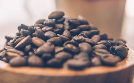 Lama Menghilang, Coffea Stenophylla Bisa Jadi Harapan Baru Petani Kopi