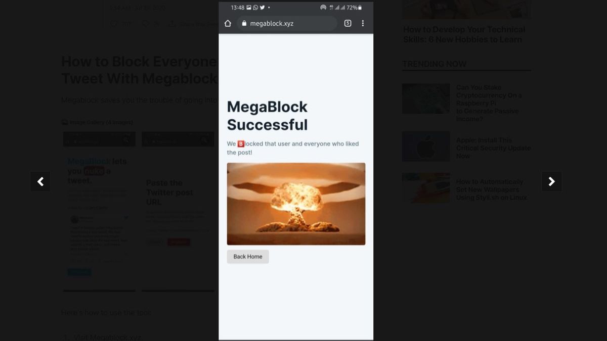 MegaBlock  Nuke tweets in one click