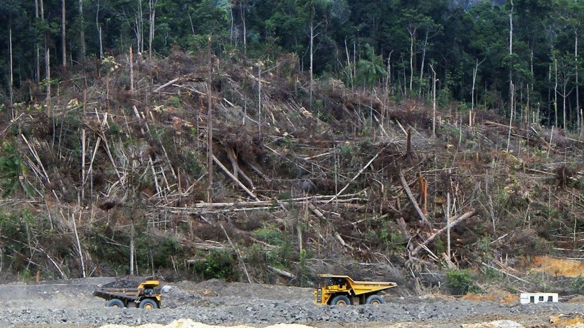 Lebih dari 100 Pemimpin Dunia Sepakat Hentikan Deforestasi dengan Dukungan Dana 19 Miliar Dolar AS