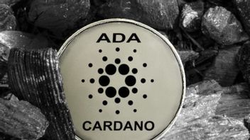 Don't FOMO! Cardano's Price (ADA) Has Skyrocketed Again, This Is The Reason