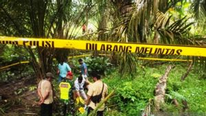 Hilang Sejak September 2021, Warga Koto Solok Sumbar Ditemukan Tinggal Kerangka di Kebun Sawit