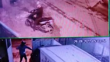 قطيع بيغال في تضاريس مسلحة بحدة ينهب دراجات نارية فيروسية والشرطة تحقق