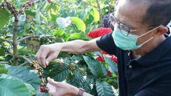 Kopi Alastuwo Diharapkan Jadi Komoditas Andalan Magetan