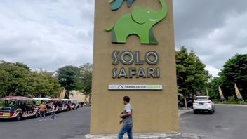 Potentially Congested, Surakarta City Government Focuses On Supervision Of Tourist Attractions