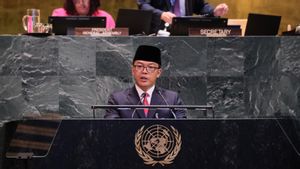 Menlu Sugiono Tegaskan Komunitas Internasional Harus Ikut Tanggung Jawab Atasi Krisis Rohingya