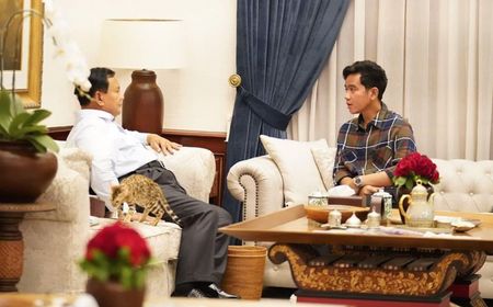 Elite Gerindra Beberkan Prabowo-Gibran Bahas Program Makan Siang Gratis Saat Bertemu di Kertanegara