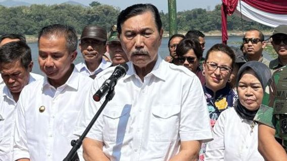 Airlangga Hartarto Mundur, Luhut: Hak Beliau…