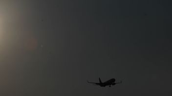 10 Informasi Penting Sejauh ini Soal Perkembangan Sriwijaya Air SJ-182 yang Jatuh