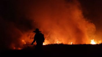 夕方まで、BPBDタピンカルセルベルジバクカルフトラからの集落を確保するために火を消す