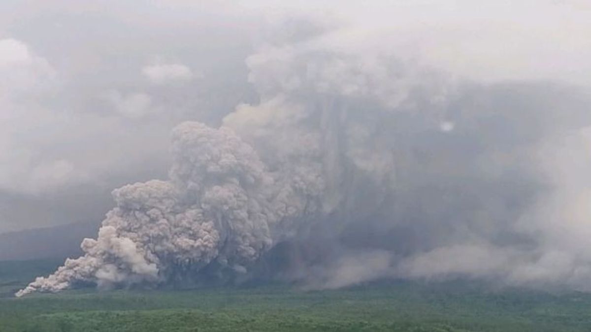    Gunung Semeru Erupsi Lagi Disertai Luncuran Awan Panas Sejauh 7 Km
