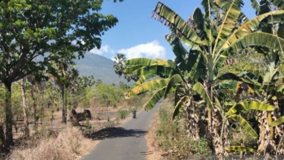 BMKG Minta 10 Zona Musim di NTT Perbanyak Persedian Air karena Memasuki Musim Kemarau