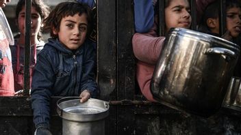 Putus Asa, Warga Gaza Konsumsi Daun Murbei untuk Bertahan Hidup