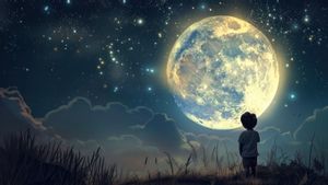 جاكرتا - لا ينبغي تفويتها! هذه هي ظاهرة سماء ديسمبر 2025 التي يجب أن تعرفها