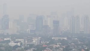 6 Arahan Jokowi Atasi Polusi Udara Jakarta: Bekerja Hybrid hingga Penambahan Ruang Terbuka Hijau 