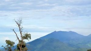 Kabar Gunung Raung: Alami Erupsi Beberapa Kali, BPBD Tetapkan Status Level 1