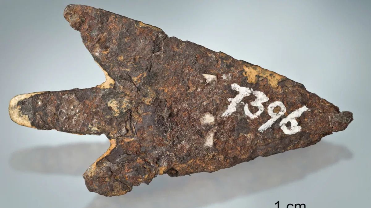 3,000年後にスイスで発見された石で作られたクロスボウ