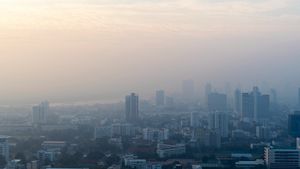 Bukan Hanya Asap Kendaraan, Berikut Contoh Polusi Udara yang Terjadi Secara Alami di Sekitar Kita