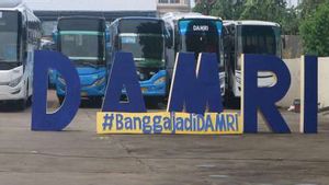 Sempat Naik 100 Persen, Tarif Bus Damri Turun Lagi