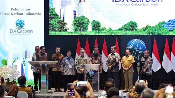 IDX Records Carbon Exchange Transactions Reaching IDR 1.46 Billion Throughout May 2024