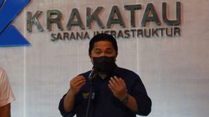 Erick Thohir Harapkan Krakatau Sarana Infrastruktur Optimalkan Kinerja Sang Induk
