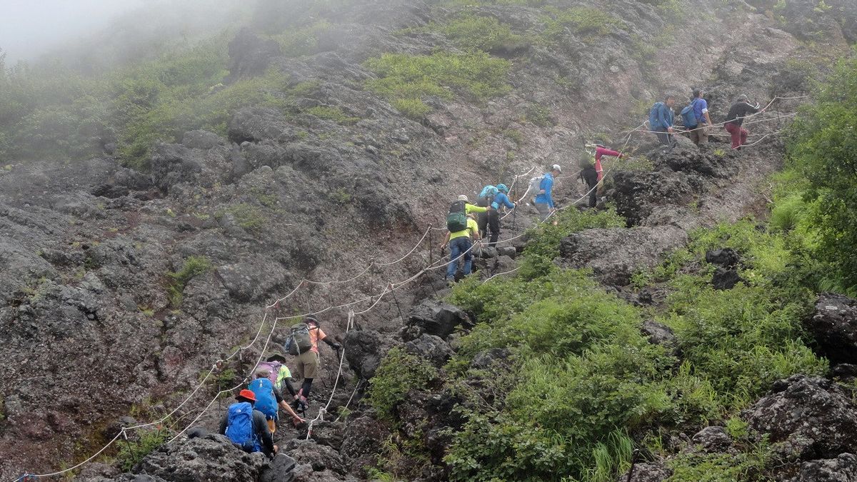 Rules Tightened, Number Of Climbers Stranded On Mount Fuji Decreases