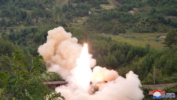 朝鲜大使声称朝鲜有权测试武器系统
