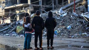 10 Children Killed In Israeli Attacks On Gaza