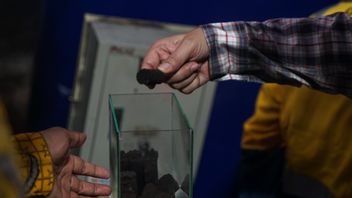 PTBA développe une alérisation du charbon pour soutenir la santé alimentaire