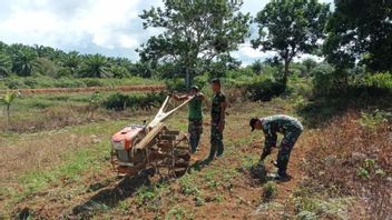 インドネシア軍、ナトゥナにトウモロコシ、ヤムイモ、キャッサバを植えた9ヘクタールの寝台地を開設