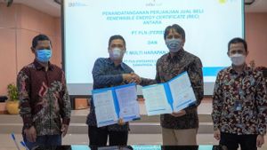 Perusahaan Tambang Batu Bara Jadi Pelanggan Pertama Layanan REC PLN di Kalimantan