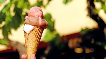 Types Of Changes In The Form Of Objects That Can OCCUR Accompanied By Examples