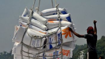 Bulog Guarantees Safe Rice Stock During Emergency PPKM