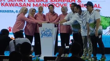 Luncurkan Laut Sebasah dan Groundbreaking Kawasan Mangrove Nasional Kamal Muara, Wamen KP: Bagian Penyelematan Ekosistem