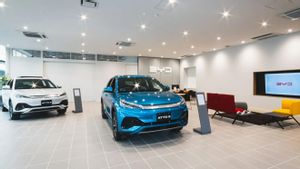 اتجاه سلبي لمدة 8 أشهر ، تعتمد BYD على السوق العالمية للبقاء على قيد الحياة