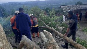 Pohon Tumbang dan Longsor Melanda Sukabumi Imbas Hujan Ekstrem