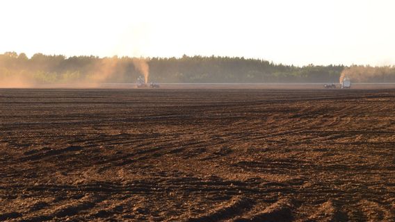 Energi dari Rawa: Ilmuwan Estonia Gunakan Gambut untuk Membuat Baterai Kendaraan Listrik