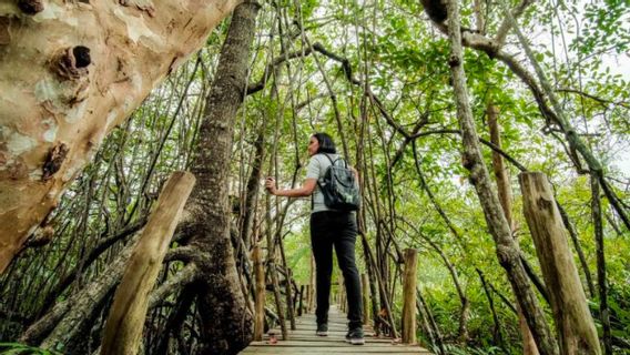 Keamanan Wisata Jadi Prioritas untuk Jaga Kepercayaan Wisatawan