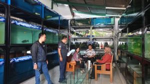 Gelar Sidak, Petugas Temukan 63 Ikan Predator di Kramat Jati Jaktim