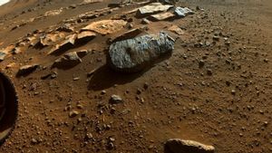 Berita Antariksa: Dari Dua Batu yang Dikumpulkan, NASA Berhasil Ungkap Sejarah Mars