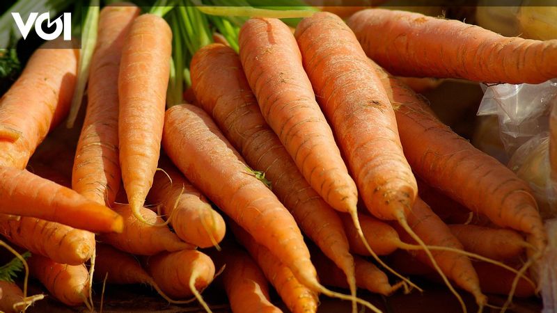 Not Only Absorbing Nutrition, This Is A Variety Of Root Functions In ...