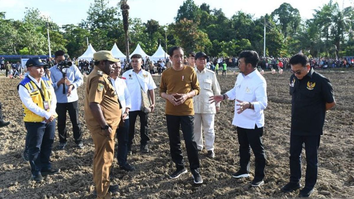 Jokowi Prepares 10 Thousand Hectares Of Land For Corn Plants In Keerom Papua