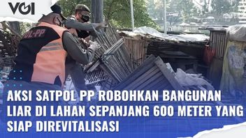 VIDÉO: Satpol PP Action Fait S’effondrer Des Bâtiments Sauvages Sur 600 Mètres De Terrain Prêts à être Revitalisés