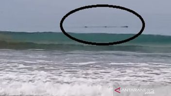 それは自然の兆候だろうか?リンタンゲガーはバンテン地震の前にビーチに現れる