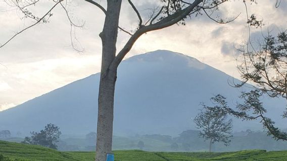 Gunung Dempo Pagaralam Berstatus Waspada Usai Erupsi